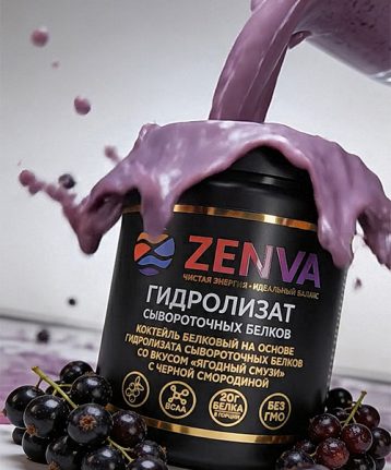 main_zenva_500х722